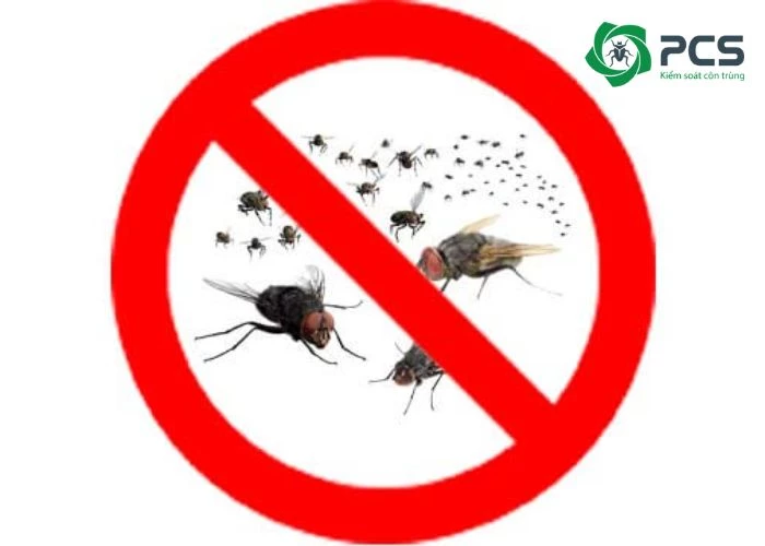 Vì sao cần diệt ruồi ngay lập tức?
